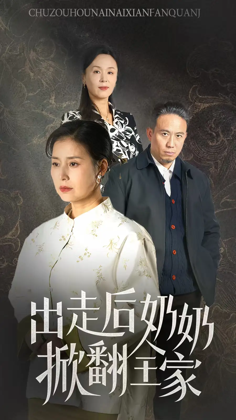 出走后奶奶掀翻全家（30集）