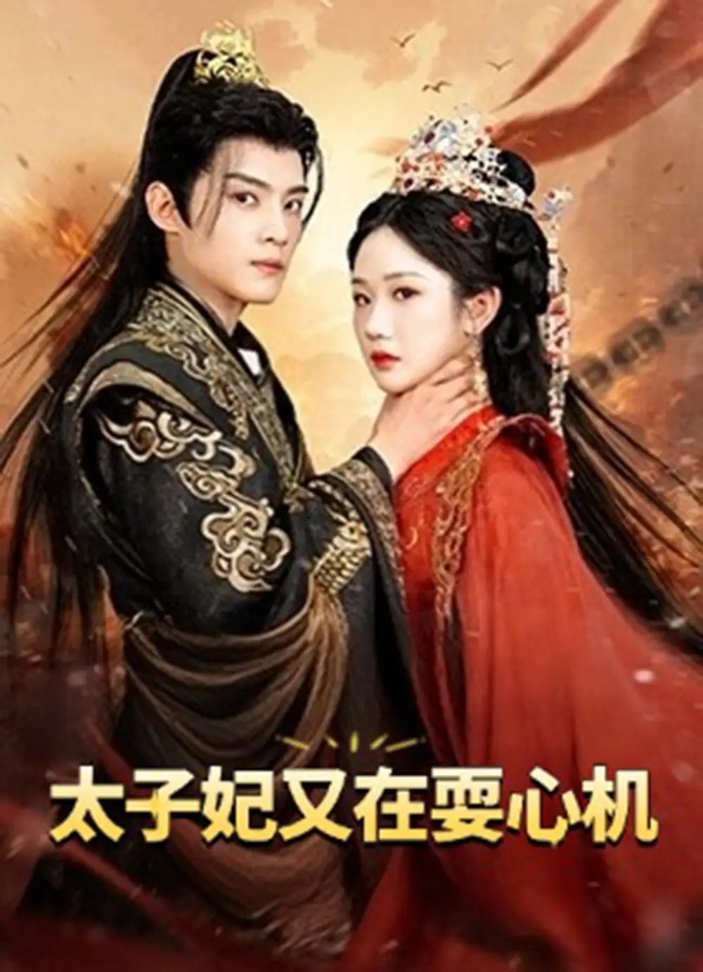 太子妃又在耍心机&人家才不是坏女人（80集）张晋宜&谢鸿鑫